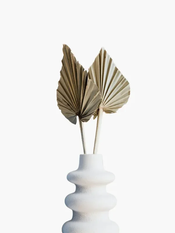 Waipfaru dried palm leaves