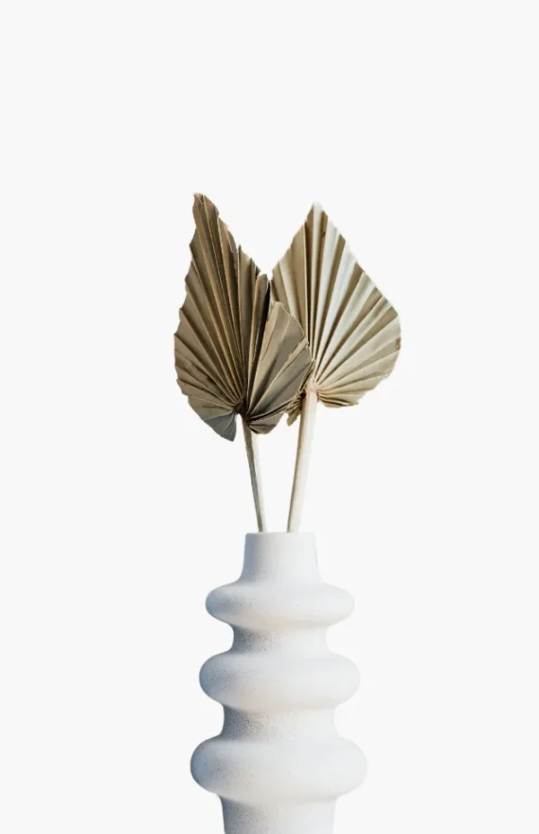 Waipfaru dried palm leaves